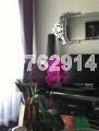 RiverEdge (D15), Condominium #133864312